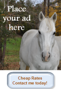 Advertise Here