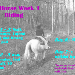 #FITHORSE Week 1