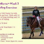 #Fithorse Week 3 Riding Routine