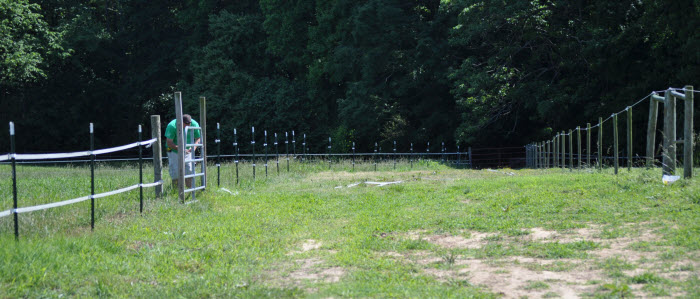 horse pasture fence pastures tips greener thicker